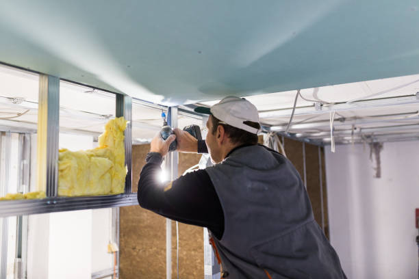 Best Energy Efficiency Insulation in Onsted, MI
