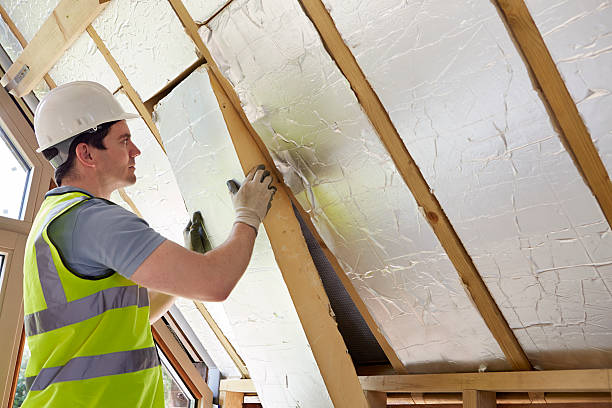 Best Eco-Friendly Insulation in Onsted, MI